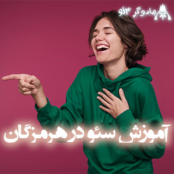 آموزش و یادگیری سئو در هرمزگان / حرفه ای
