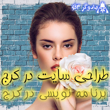 طراحی وب سایت در کرج البرز (برنامه نویسی فرمولینگی)