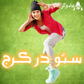 سئو در کرج seo کار حرفه ای در شهر کرج