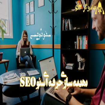 بهینه سازی و سئو نویسی حرفه ای وب سایت